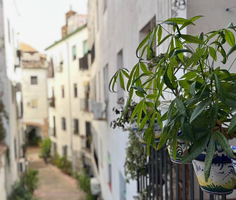 Apartamento Kenza 코르도바 외부 사진