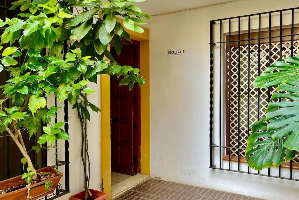 Apartamento Kenza 코르도바 외부 사진